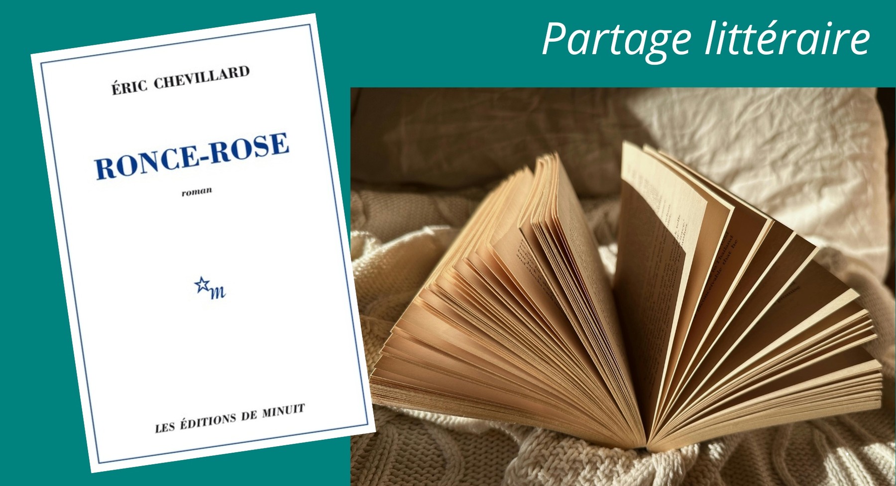 Affiche de Partage littéraire — Éric Chevillard, Ronce-Rose