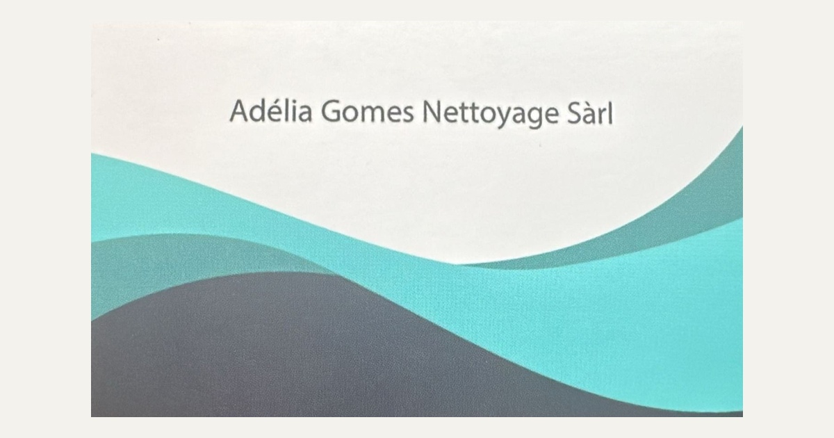 Logo ou image actuelle de Adelia Gomes Nettoyage Sàrl