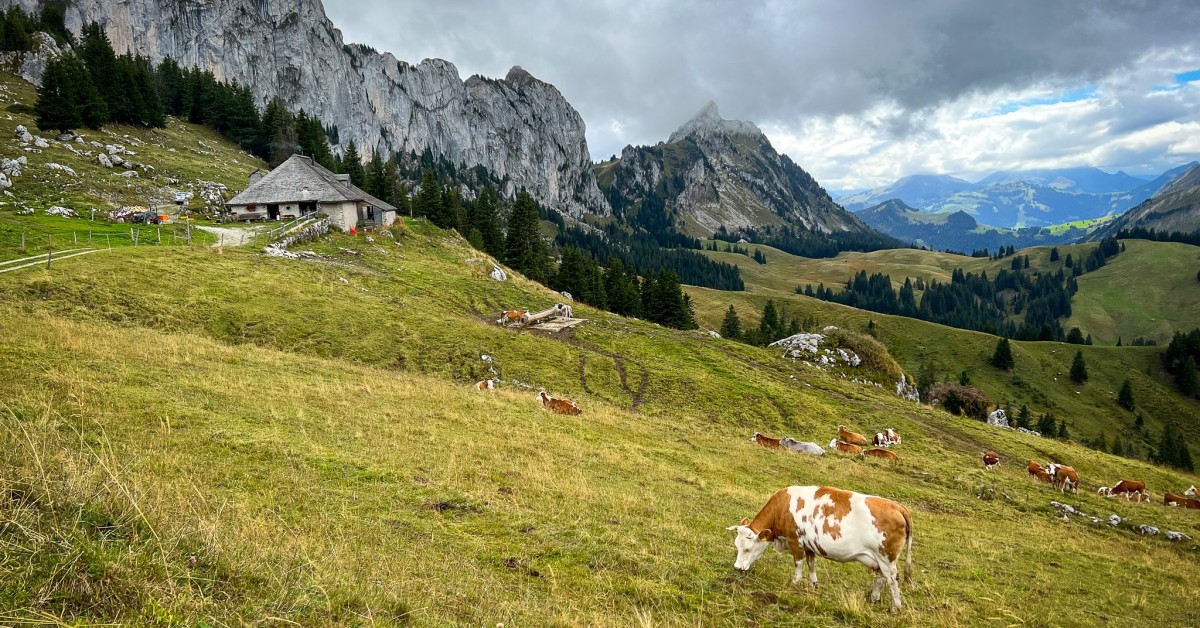 Logo ou image actuelle de Parc naturel régional Gruyère Pays-d’Enhaut