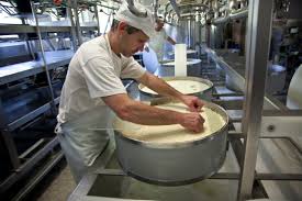 Logo ou image actuelle de Fromagerie des Moulins